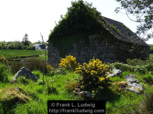 Spring in Glenfarne